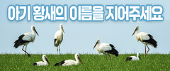 배너