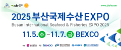 배너