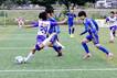 합천군 '제33회 여왕기 전국여자축구대회' 개최…47개팀 참가