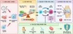 인제대 최완수 교수팀, 노화된 연골세포 변화 새 해석